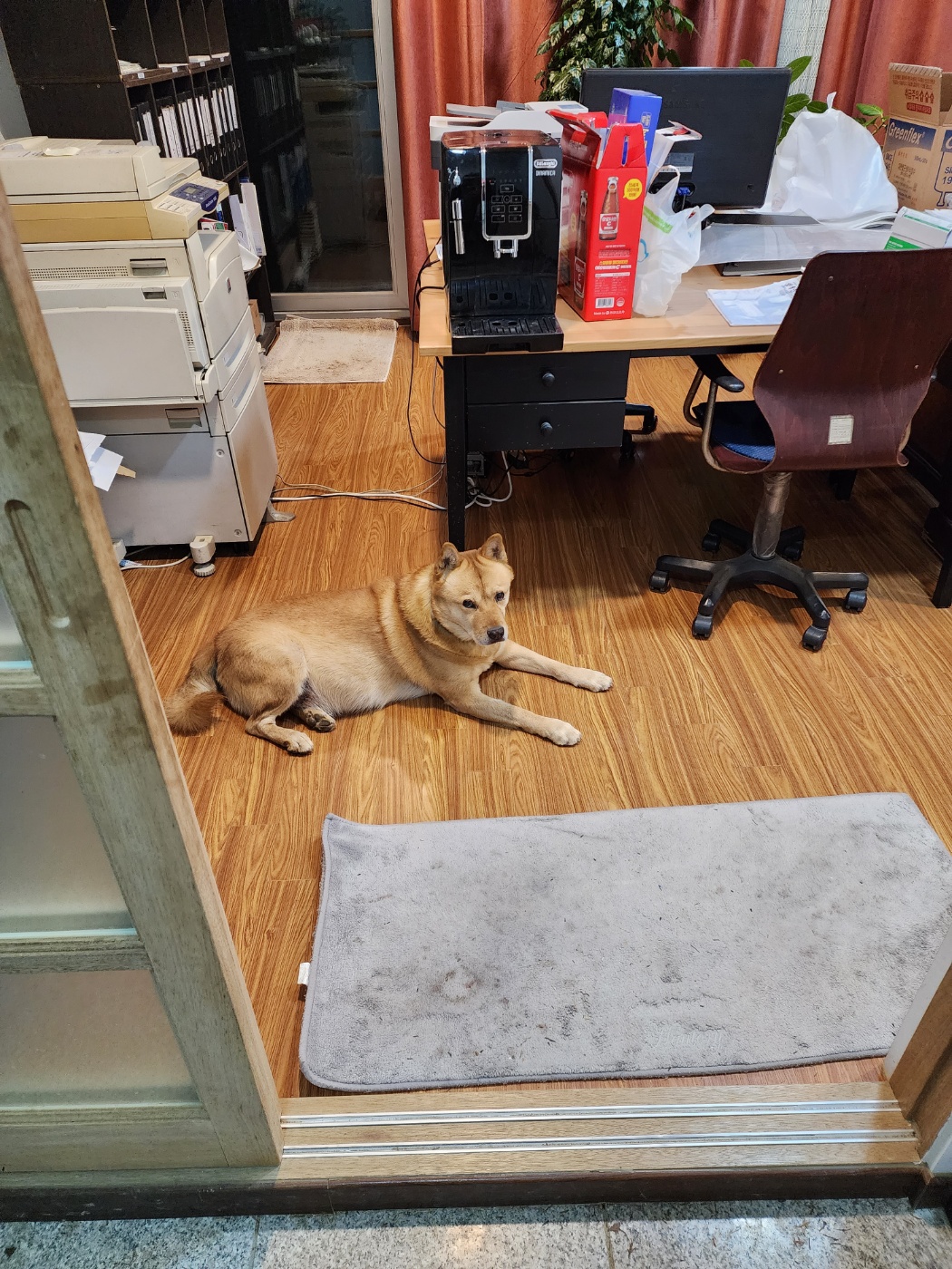 KakaoTalk_20230120_155316821.jpg